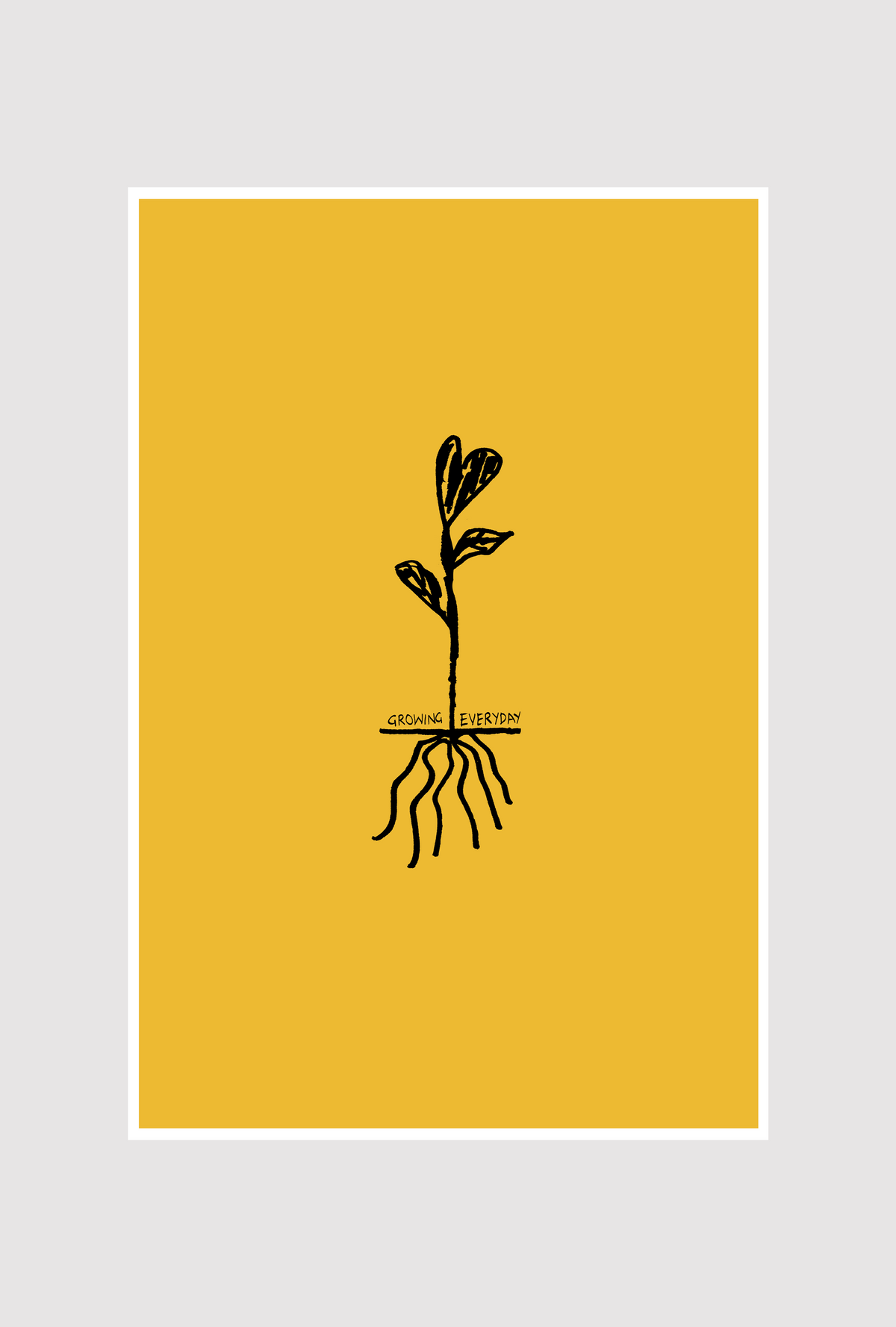 Growing Everyday