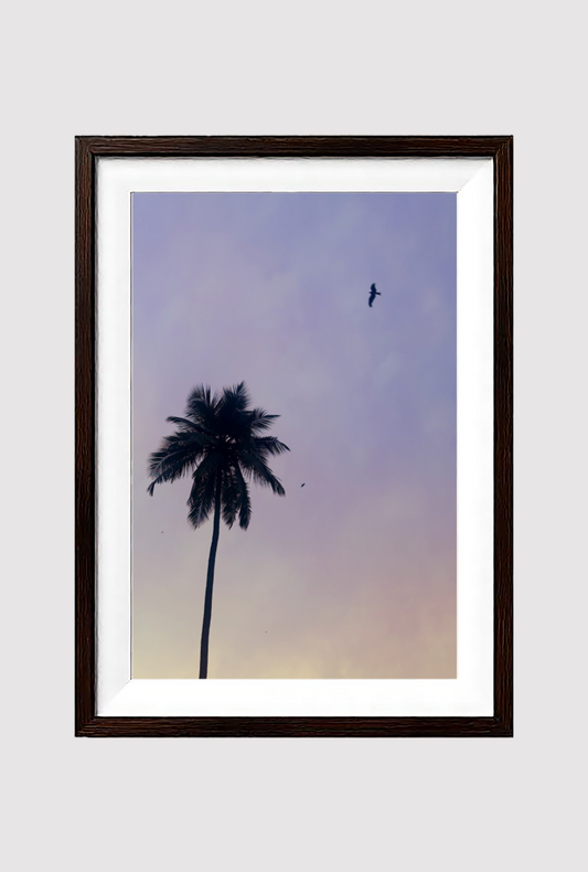 Palm Tree